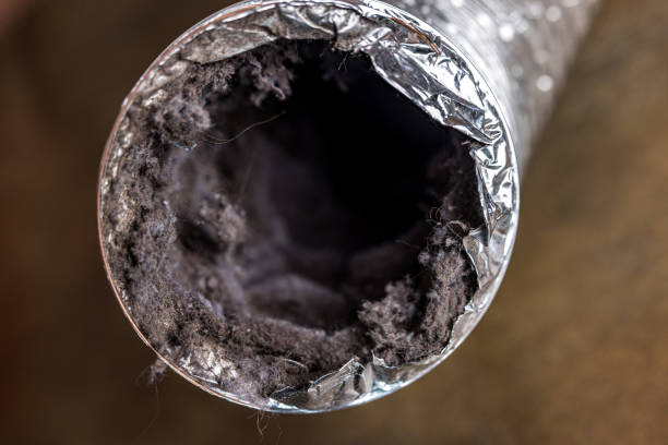 Best Residential Air Duct Cleaning  in Vardaman, MS