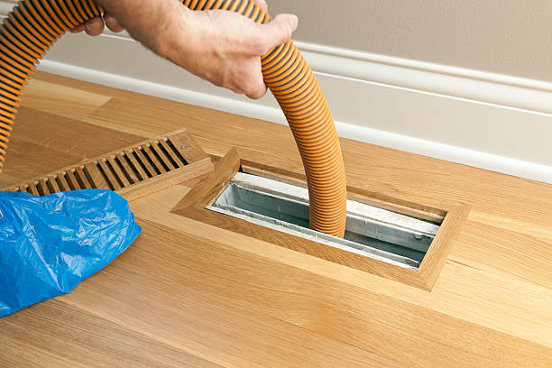 Best Air Duct Mold Removal  in Vardaman, MS