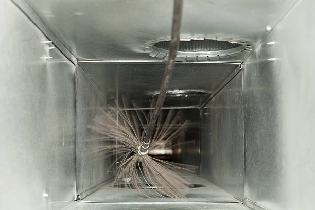 Best Dryer Vent Cleaning Services  in Vardaman, MS